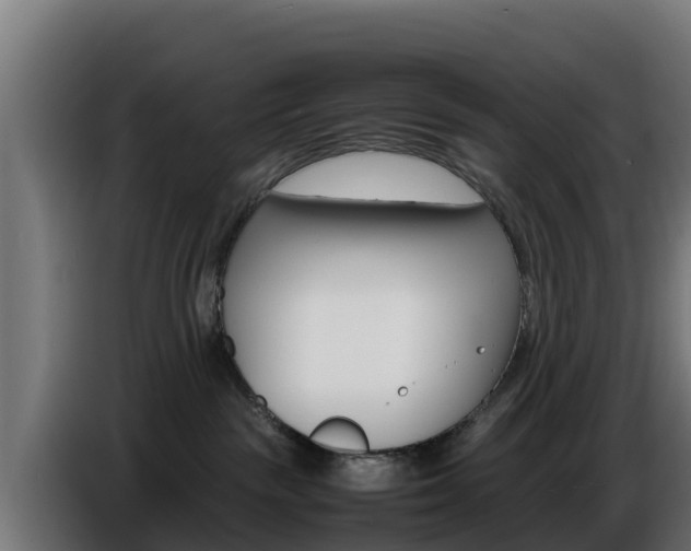 X0000086770189200704130845