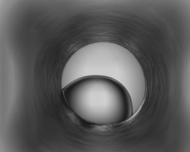 X0000086770190200704130845