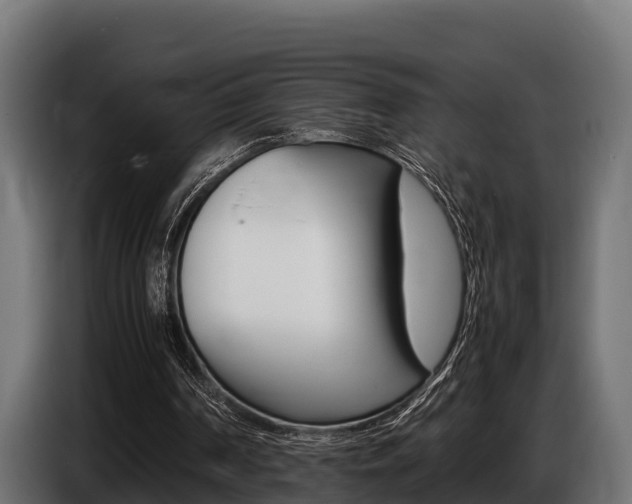 X0000086770194200704130844