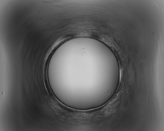 X0000086770195200704130844