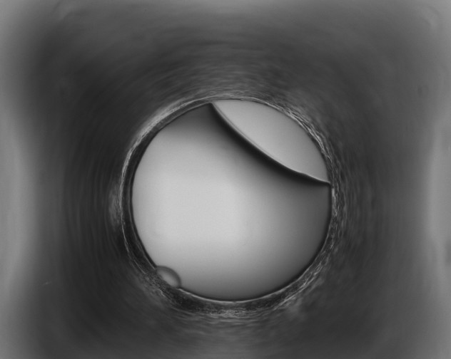 X0000086770196200704130844