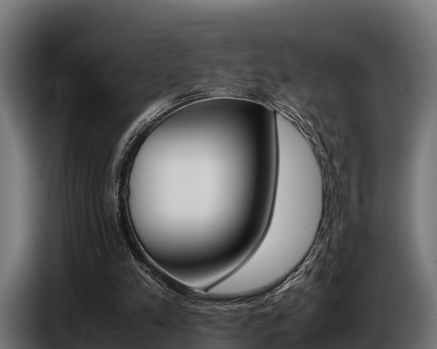 X0000086770197200704130844