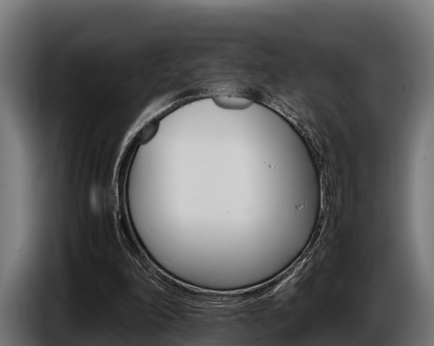 X0000086770198200704130844