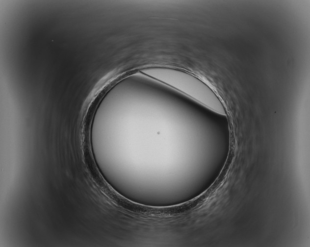 X0000086770199200704130844