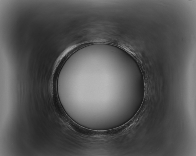 X0000086770200200704130844
