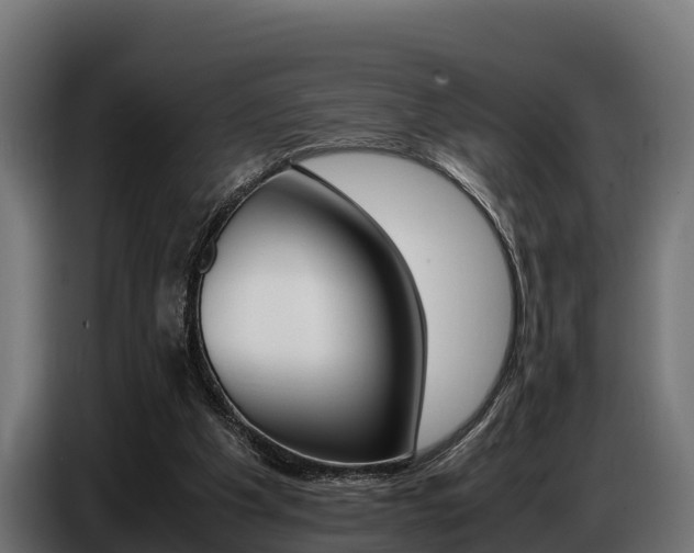 X0000086770201200704130844