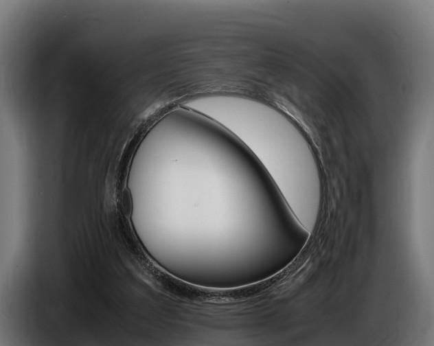 X0000086770203200704130844