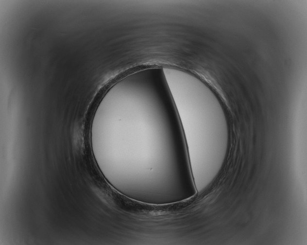 X0000086770204200704130844