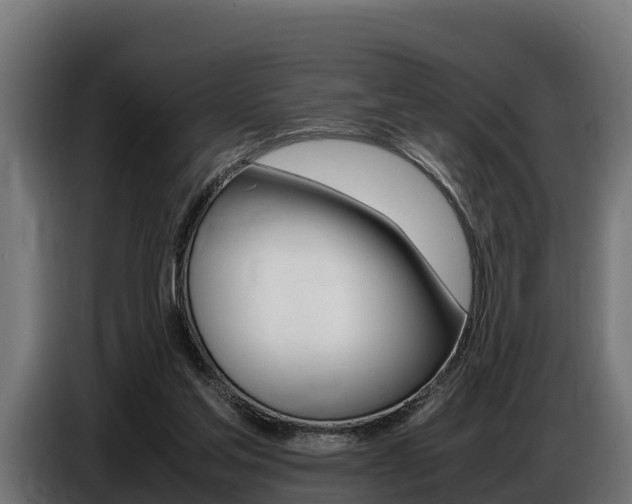 X0000086770205200704130844
