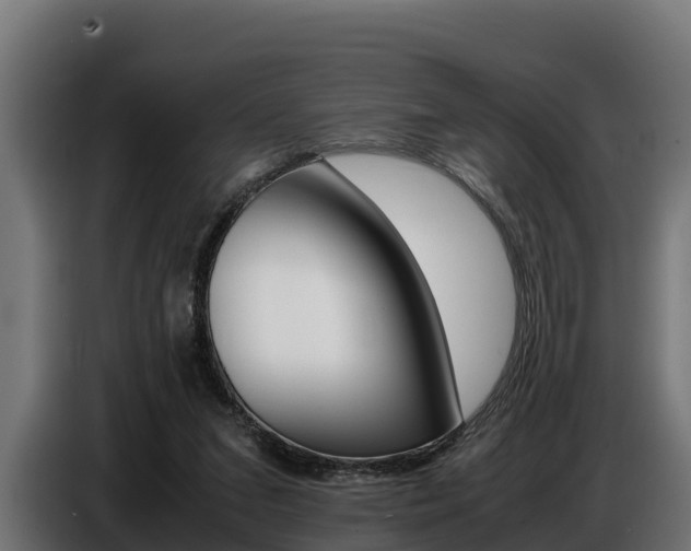 X0000086770207200704130844