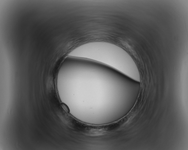 X0000086770213200704130844