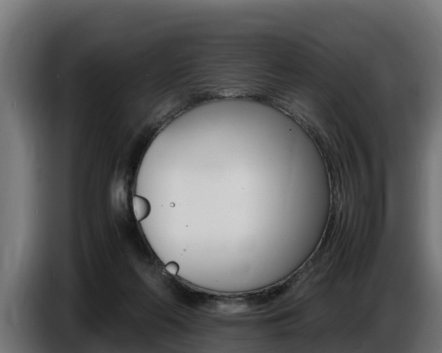 X0000086770214200704130844