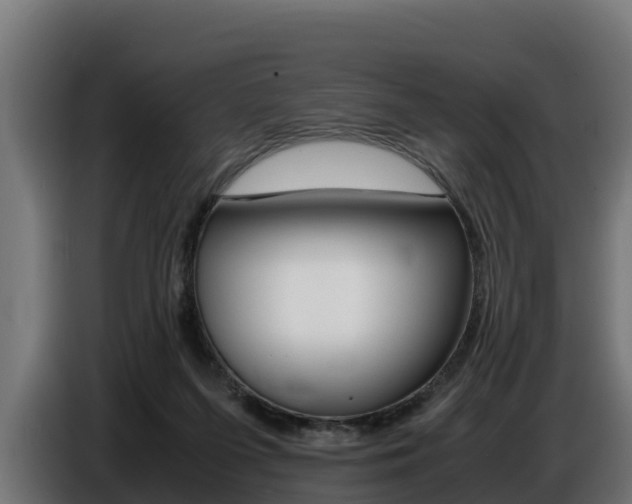 X0000086770215200704130844