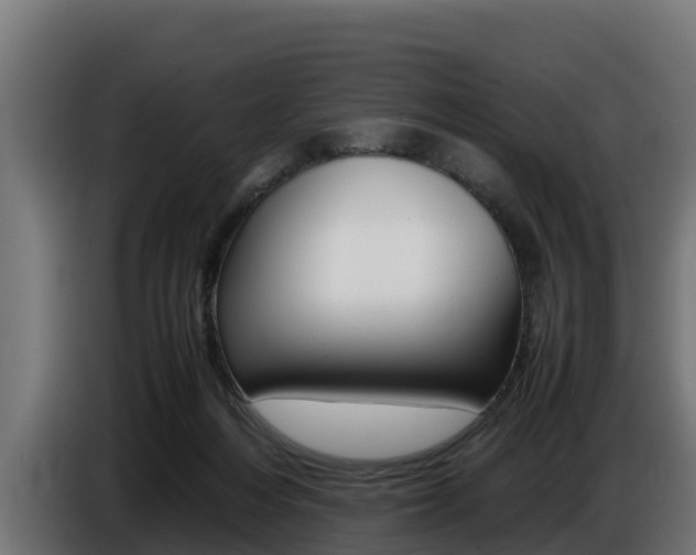 X0000086770216200704130844