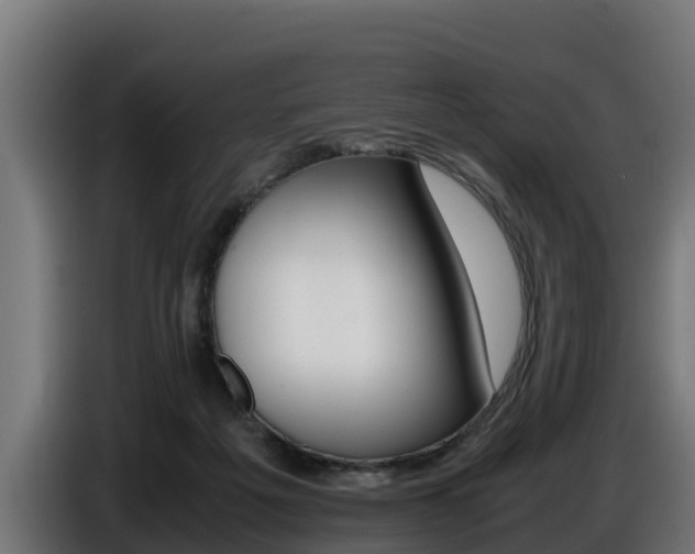 X0000086770217200704130844