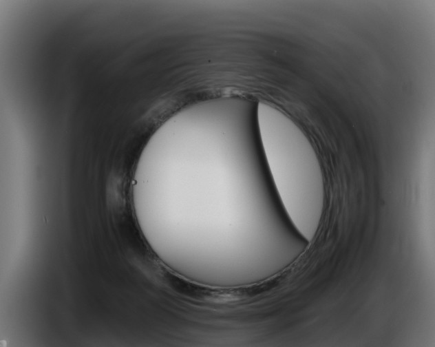 X0000086770218200704130844