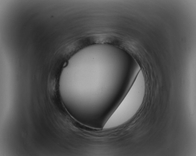 X0000086770219200704130844