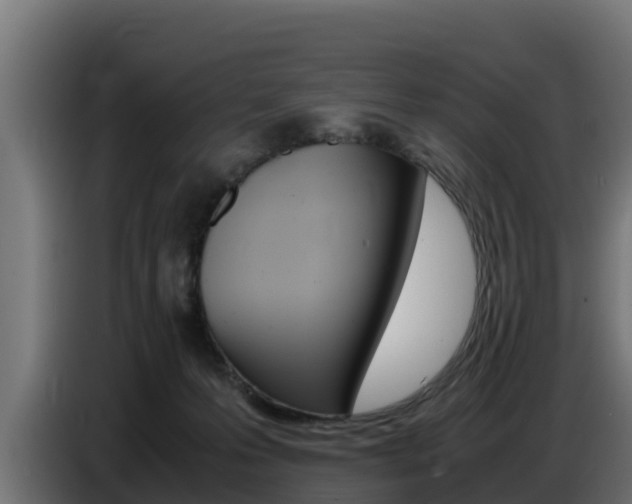 X0000086770223200704130843