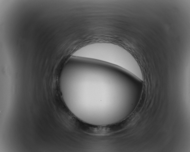 X0000086770225200704130843