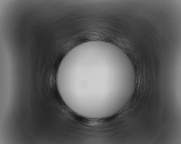 X0000086770226200704130843