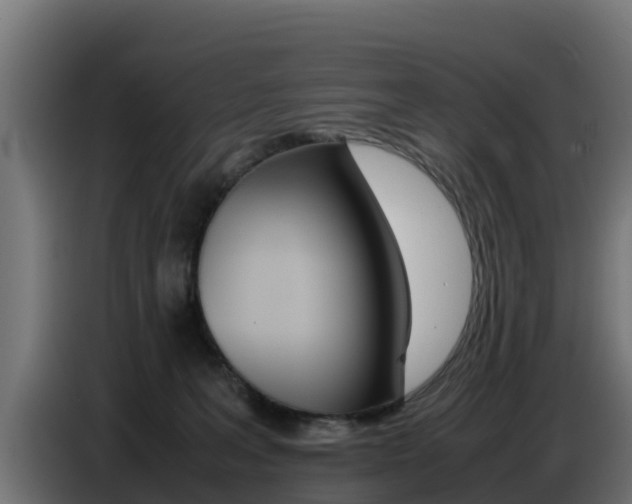 X0000086770227200704130843