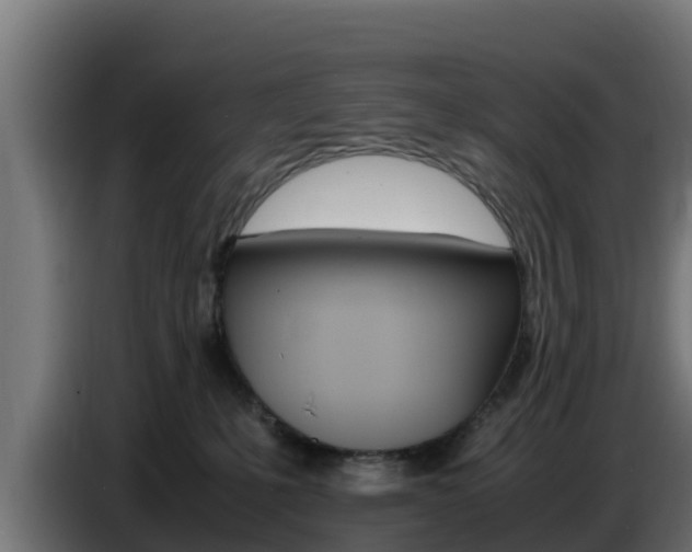 X0000086770231200704130843