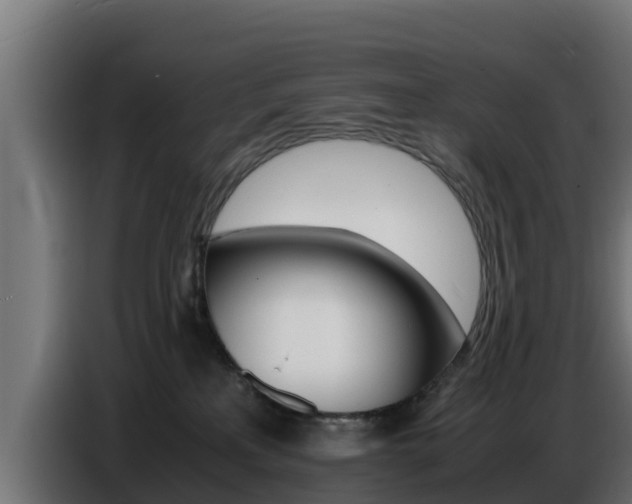 X0000086770233200704130843