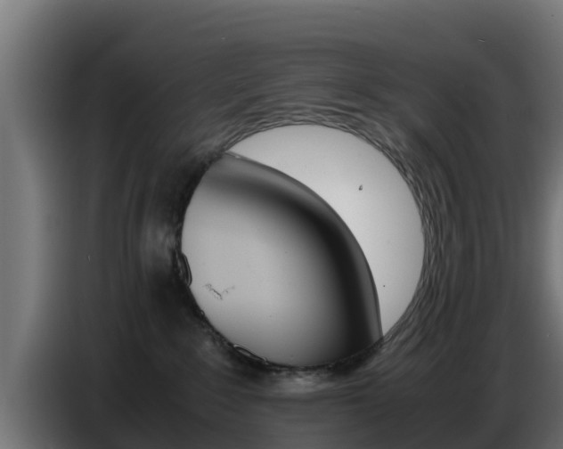 X0000086770235200704130843