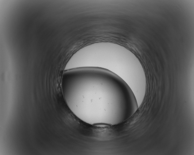 X0000086770237200704130843