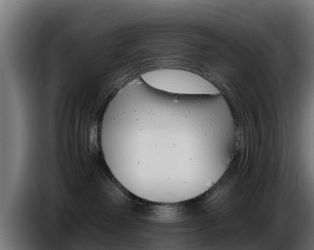 X0000086770238200704130843