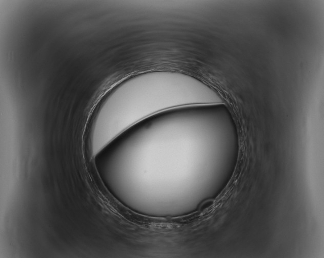 X0000086770242200704130843