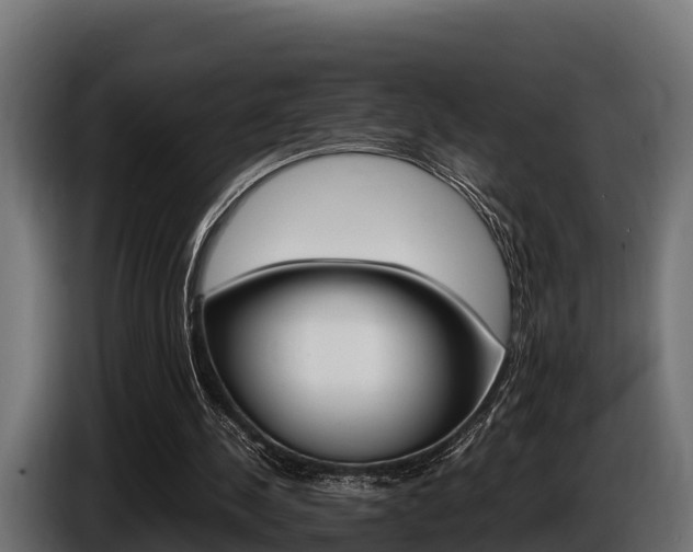 X0000086770244200704130843