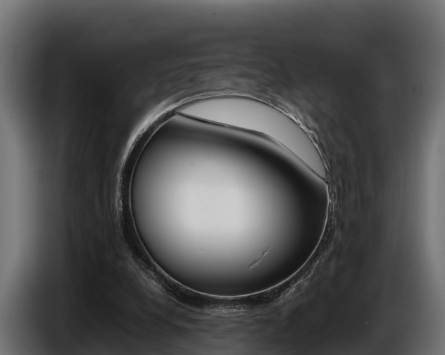 X0000086770248200704130843