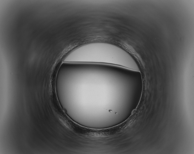 X0000086770250200704130843