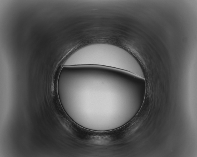 X0000086770251200704130843