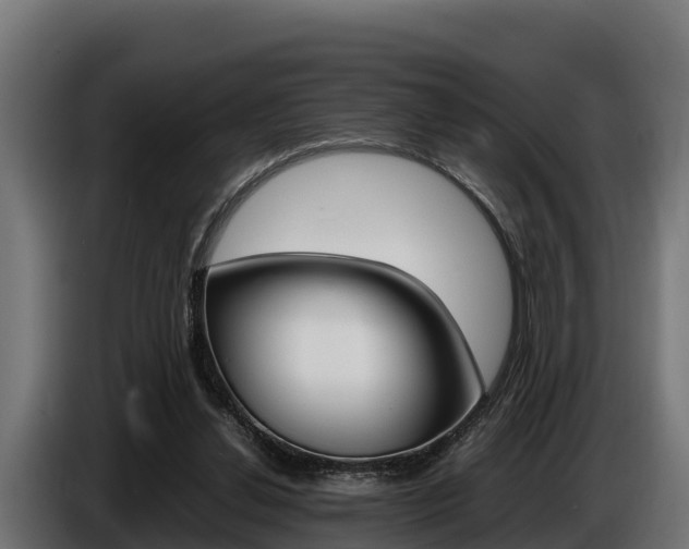 X0000086770252200704130843