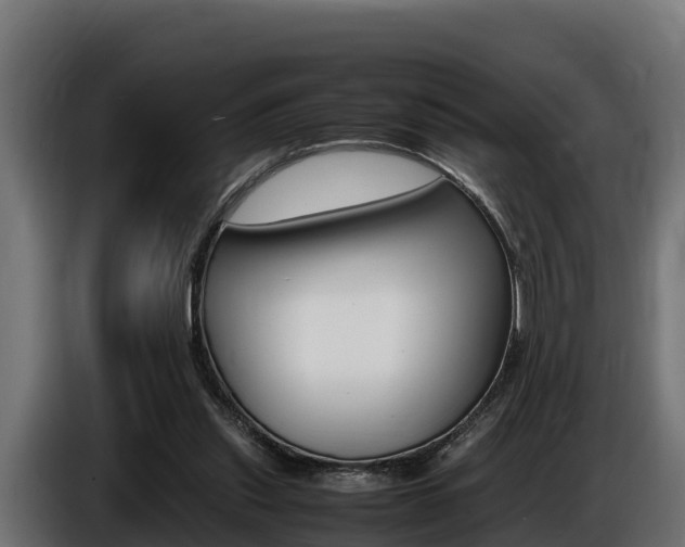 X0000086770253200704130843