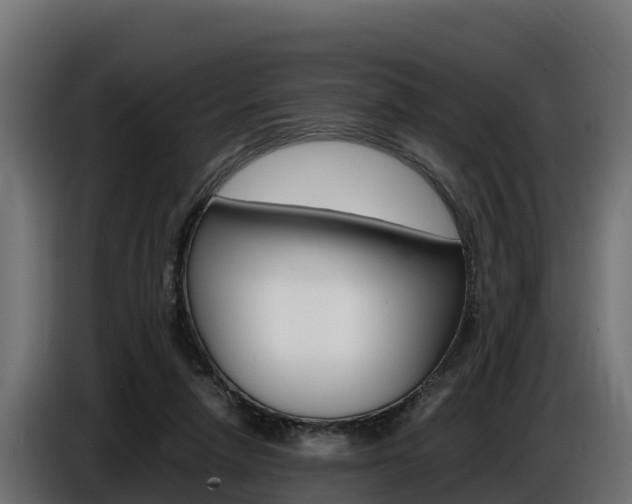 X0000086770258200704130843