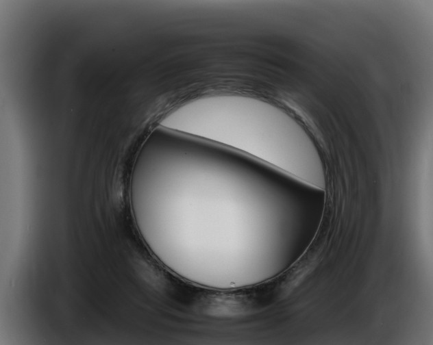 X0000086770261200704130843