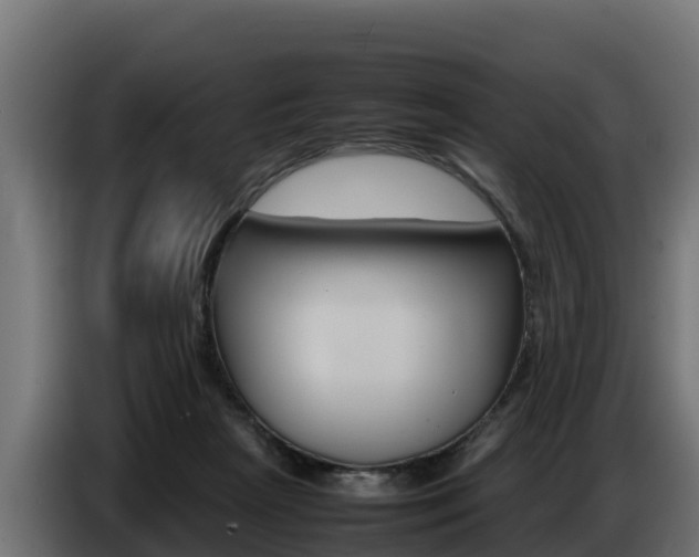 X0000086770265200704130843