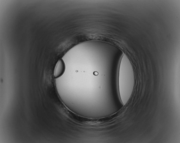 X0000086770266200704130843