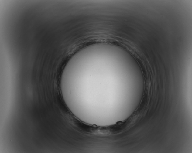 X0000086770270200704130843
