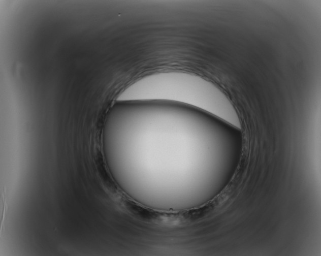 X0000086770272200704130843