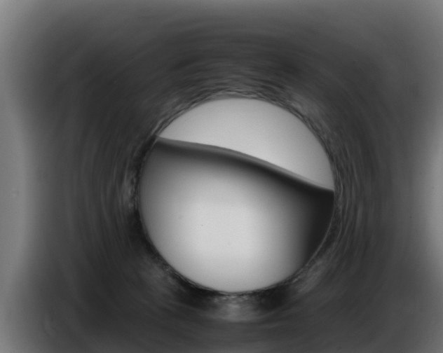 X0000086770273200704130843
