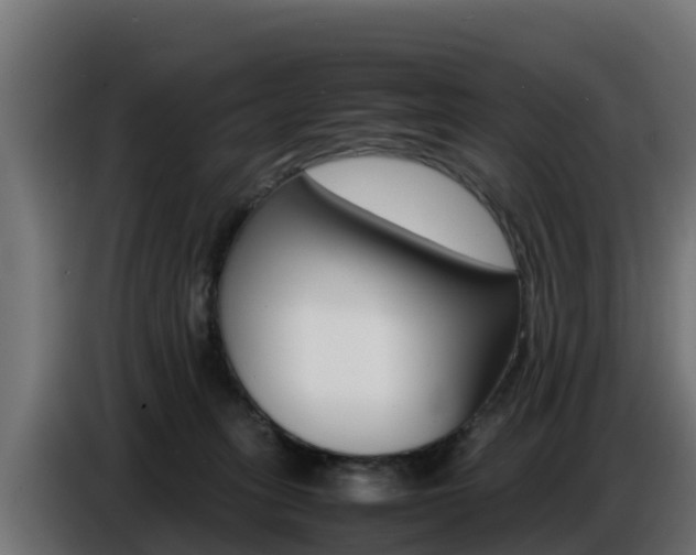 X0000086770275200704130843