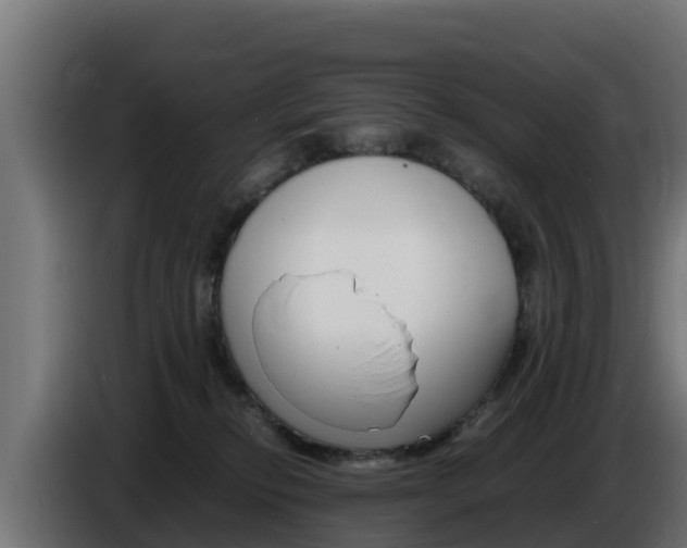 X0000086770278200704130843
