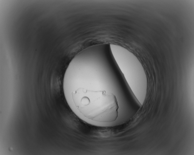 X0000086770279200704130843