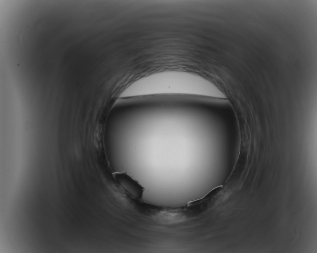 X0000086770280200704130843