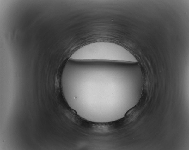 X0000086770282200704130843