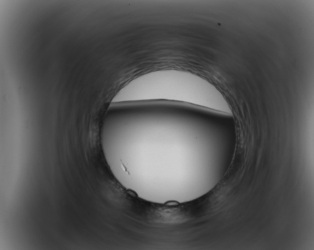 X0000086770283200704130843